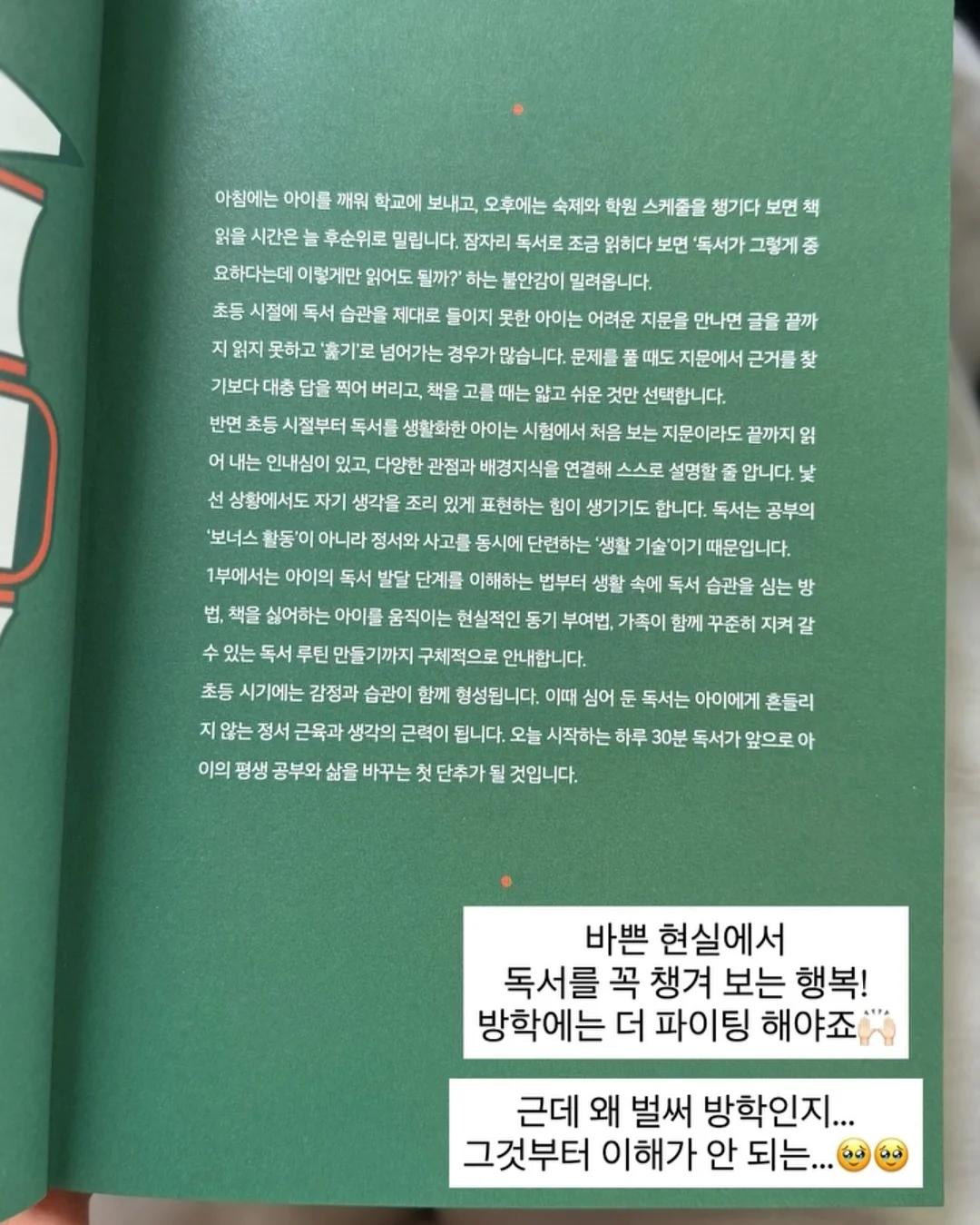 피카 전기 포트 8
