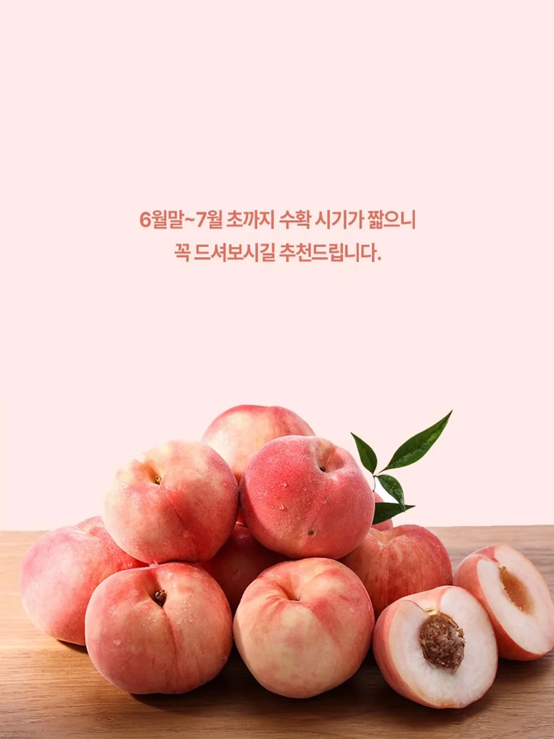 베어미 부클 크롭 자켓 7