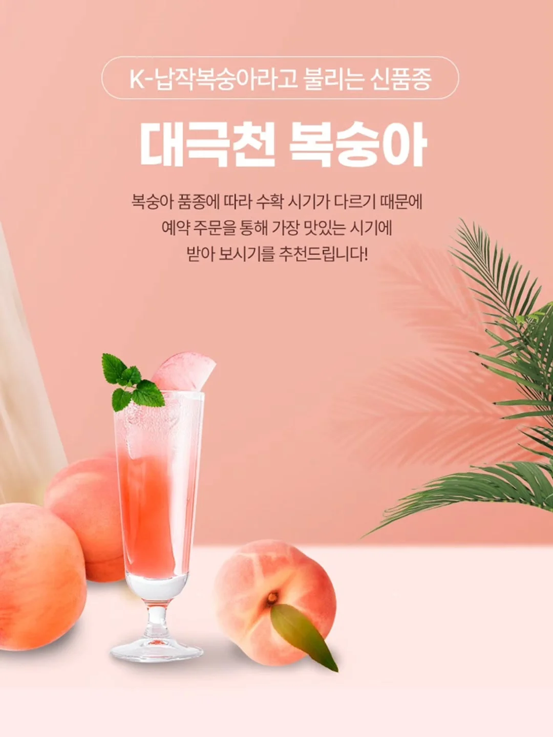 베어미 부클 크롭 자켓 8