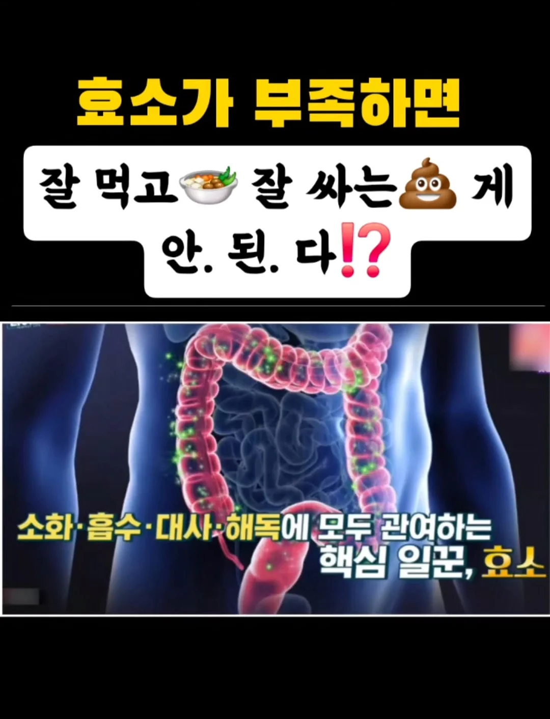 쿠진아트 에프(2가지 모델/오리지널&스팀) 1