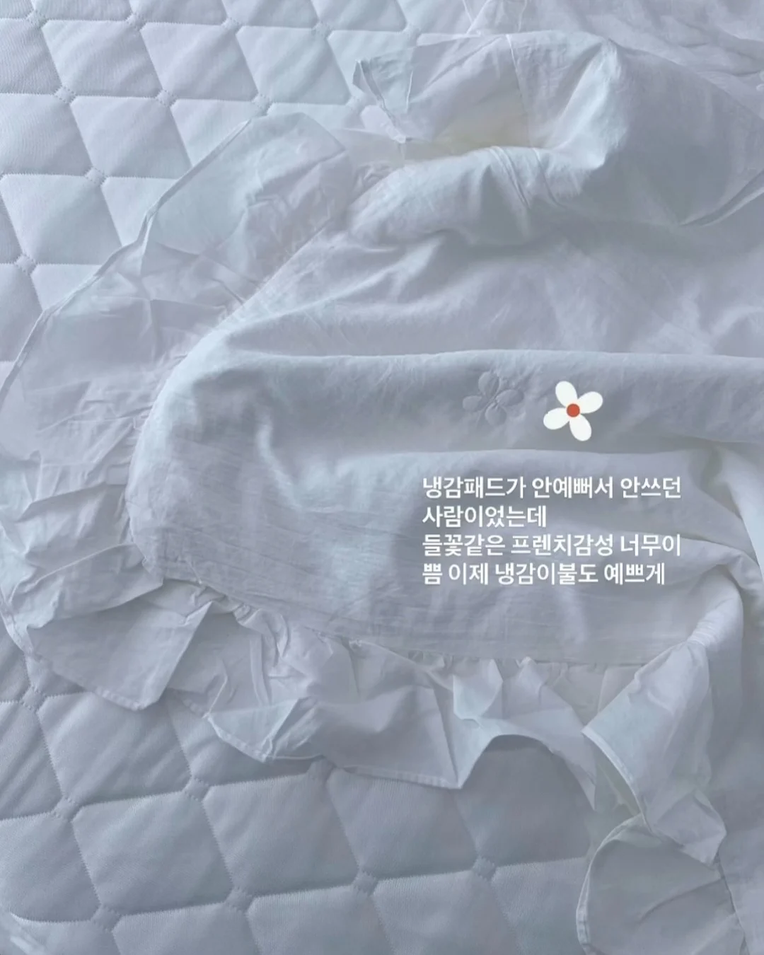 플레이스 작가님 재입고 상품 1