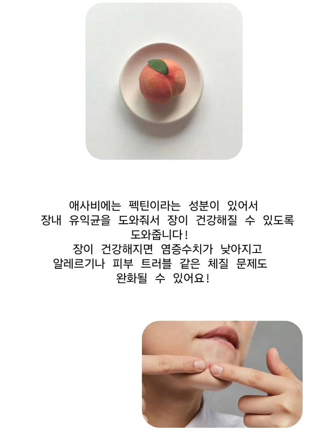 계란말이 비법 재료 14