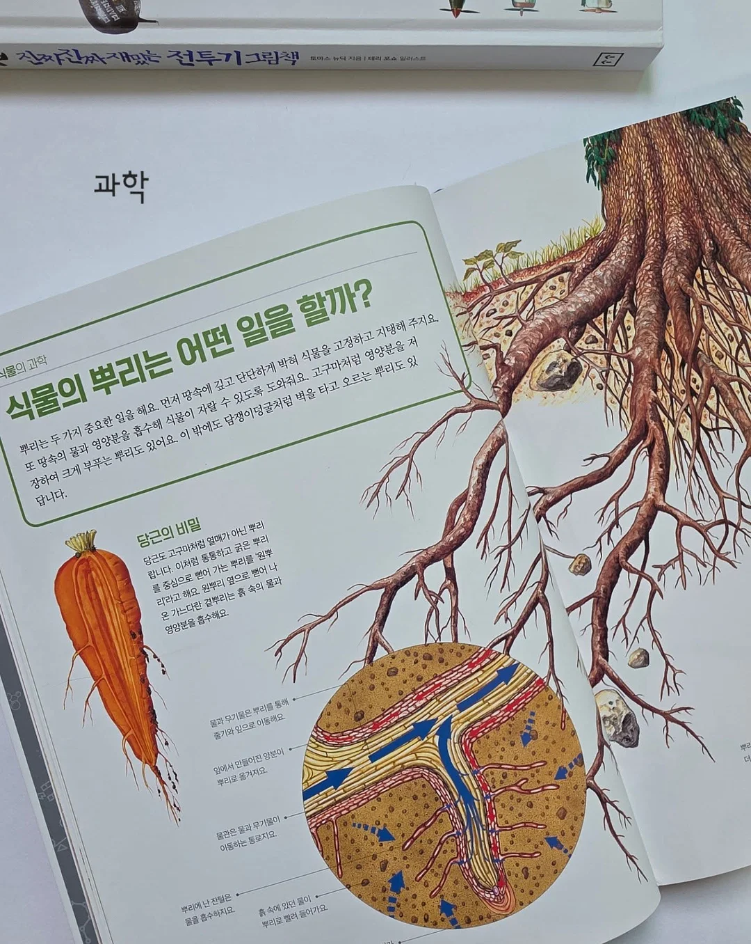 보리밥 차돌강된장 오이알배추물김치 밑반찬 13