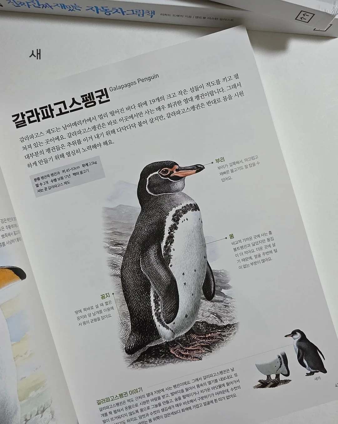 보리밥 차돌강된장 오이알배추물김치 밑반찬 19