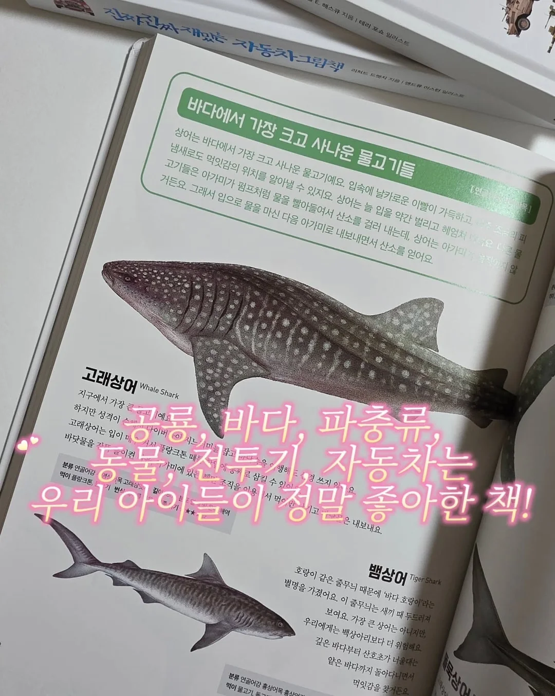 보리밥 차돌강된장 오이알배추물김치 밑반찬 7