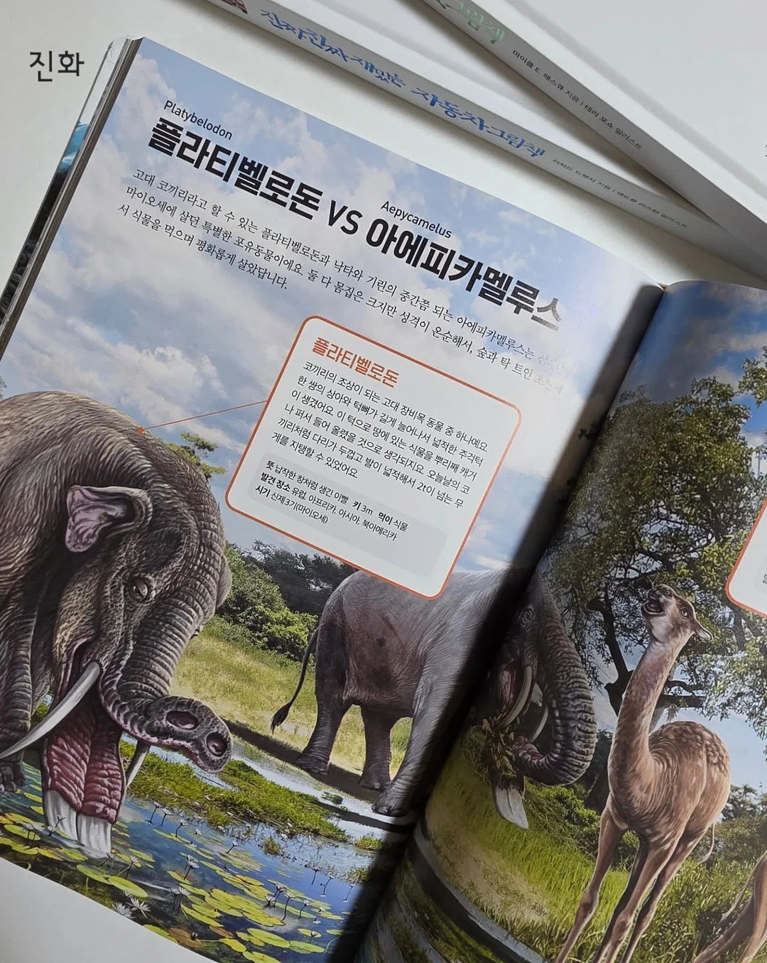 보리밥 차돌강된장 오이알배추물김치 밑반찬 9