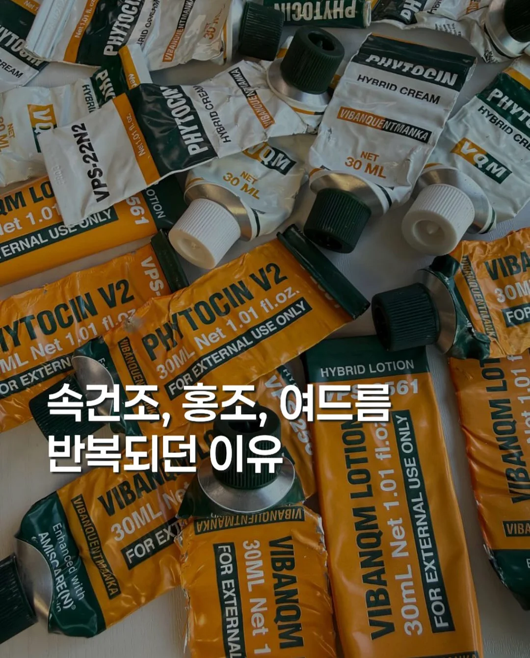 석류틴트 1