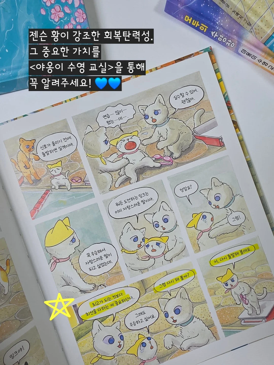 창억 답례떡 세트 11
