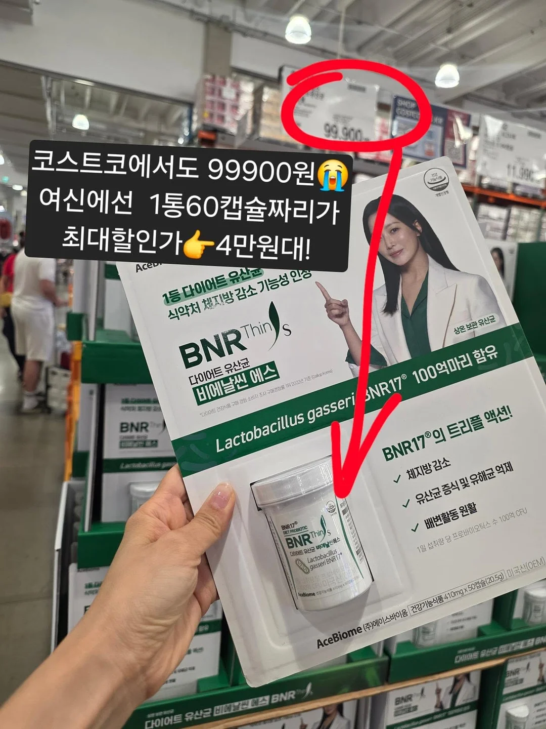 코알라의 마치 우지 말차 1