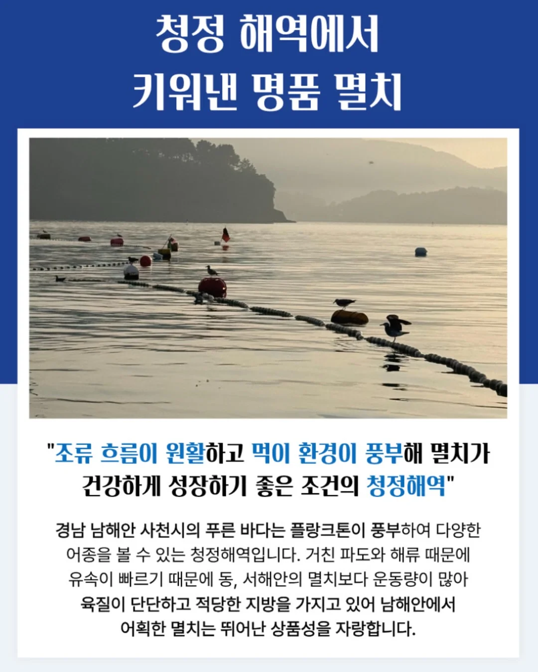 헨슬리 4인 코너형 소파 11