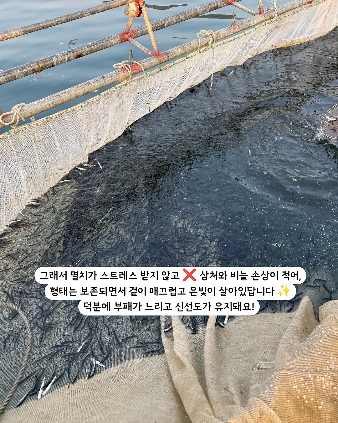 헨슬리 4인 코너형 소파 4