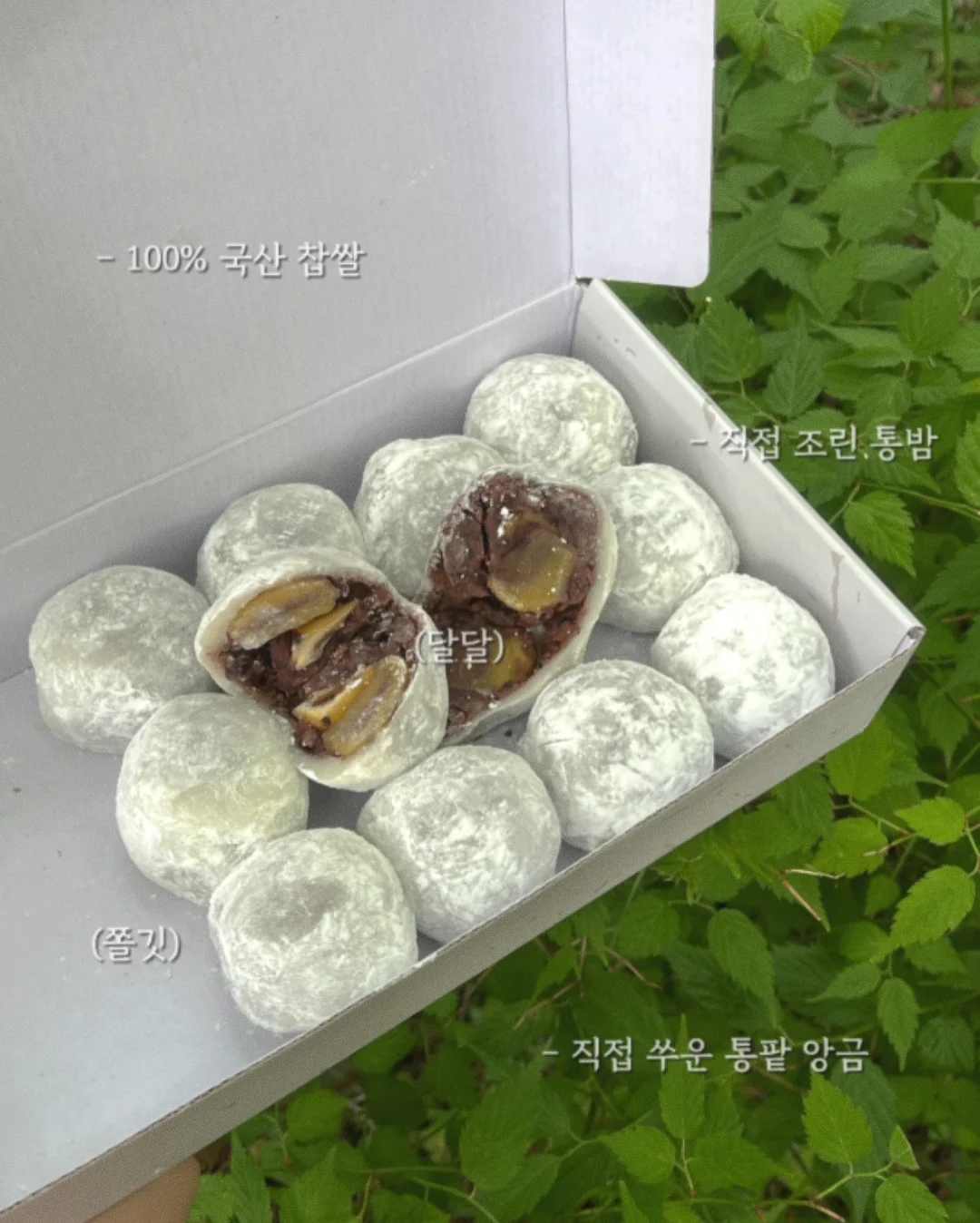 미스왁 치석 관리제 3