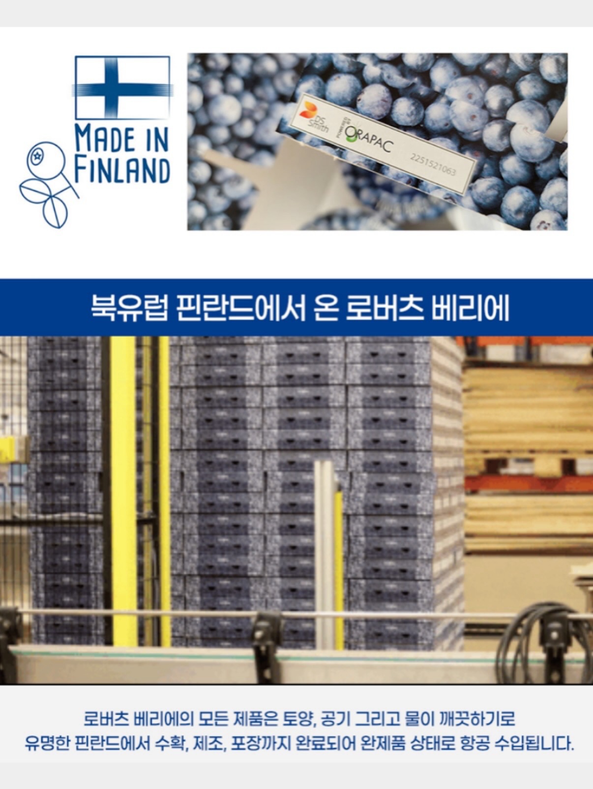 MY HOME 빨간집 매트 13