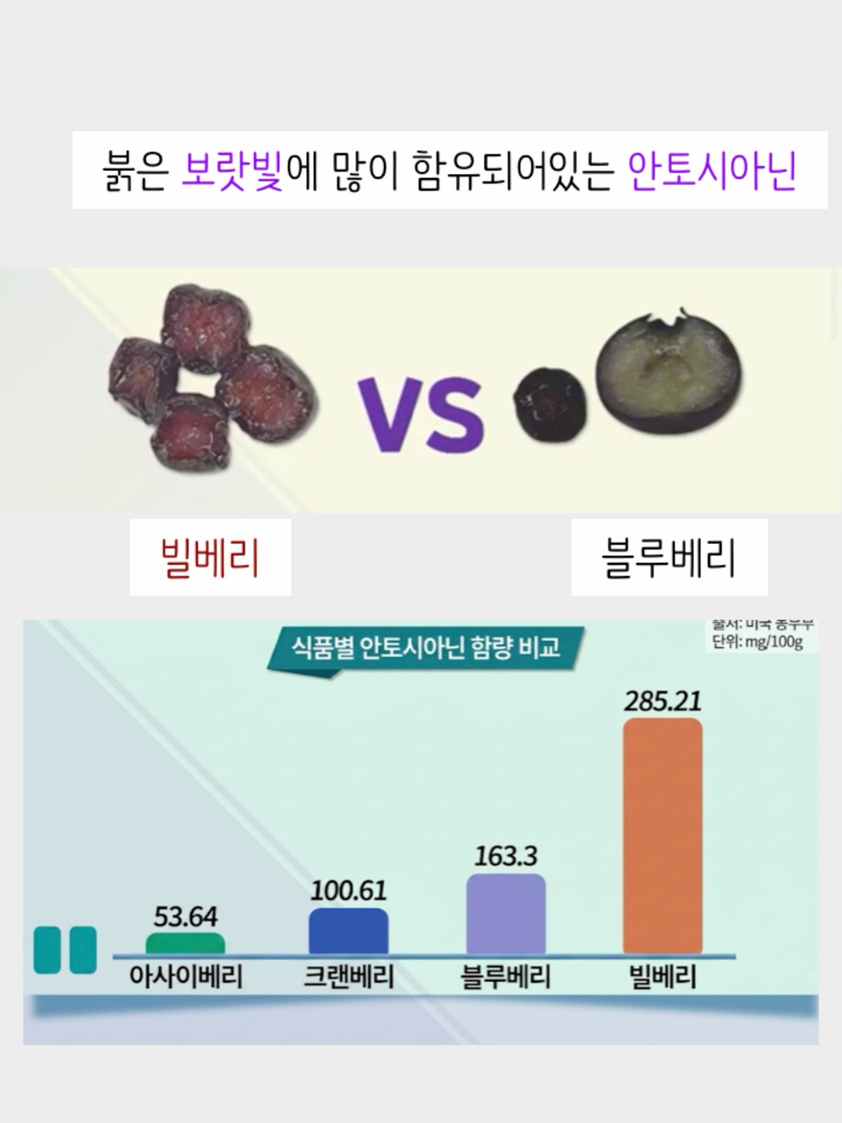MY HOME 빨간집 매트 5