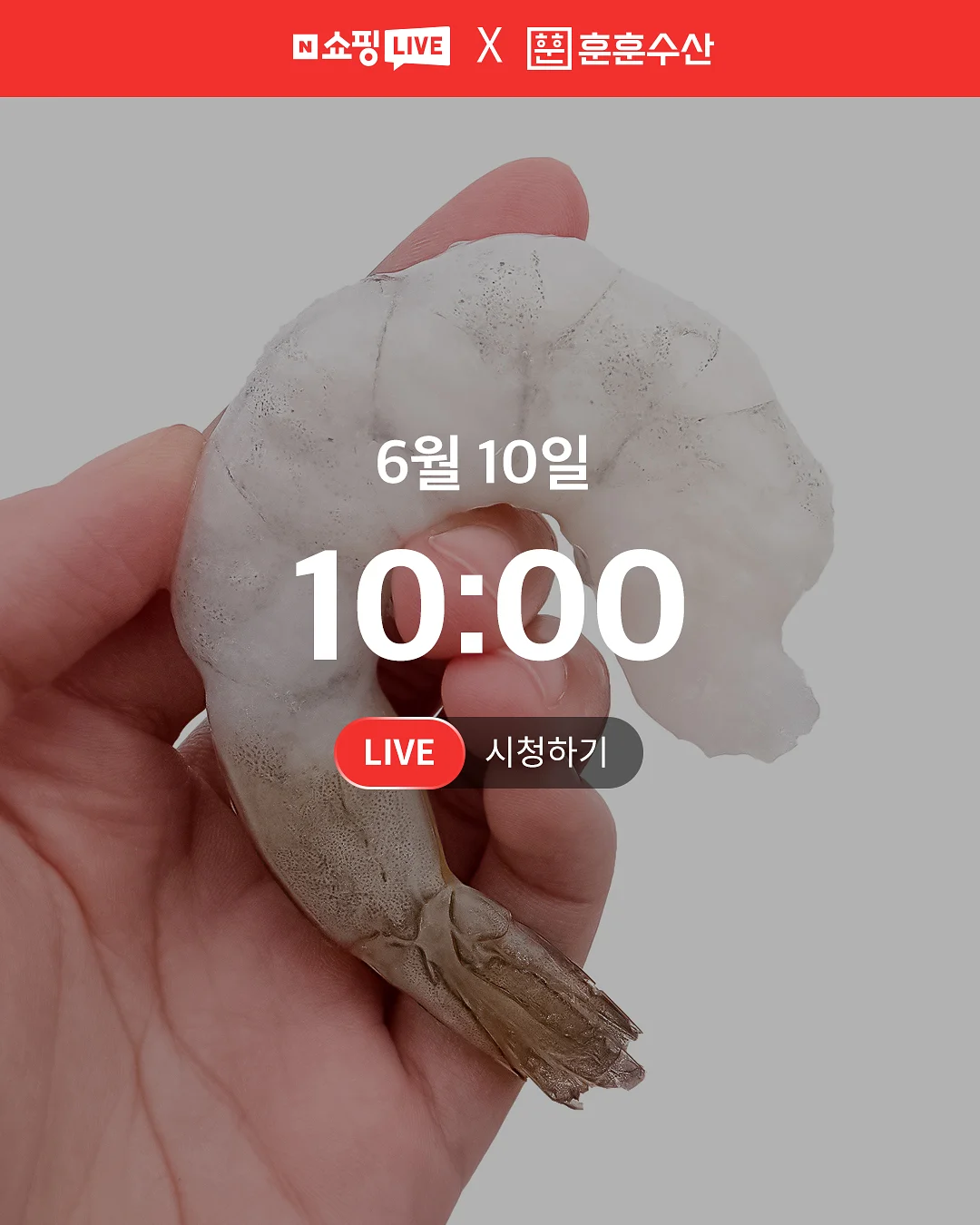 하트롤리팝 한송이 1