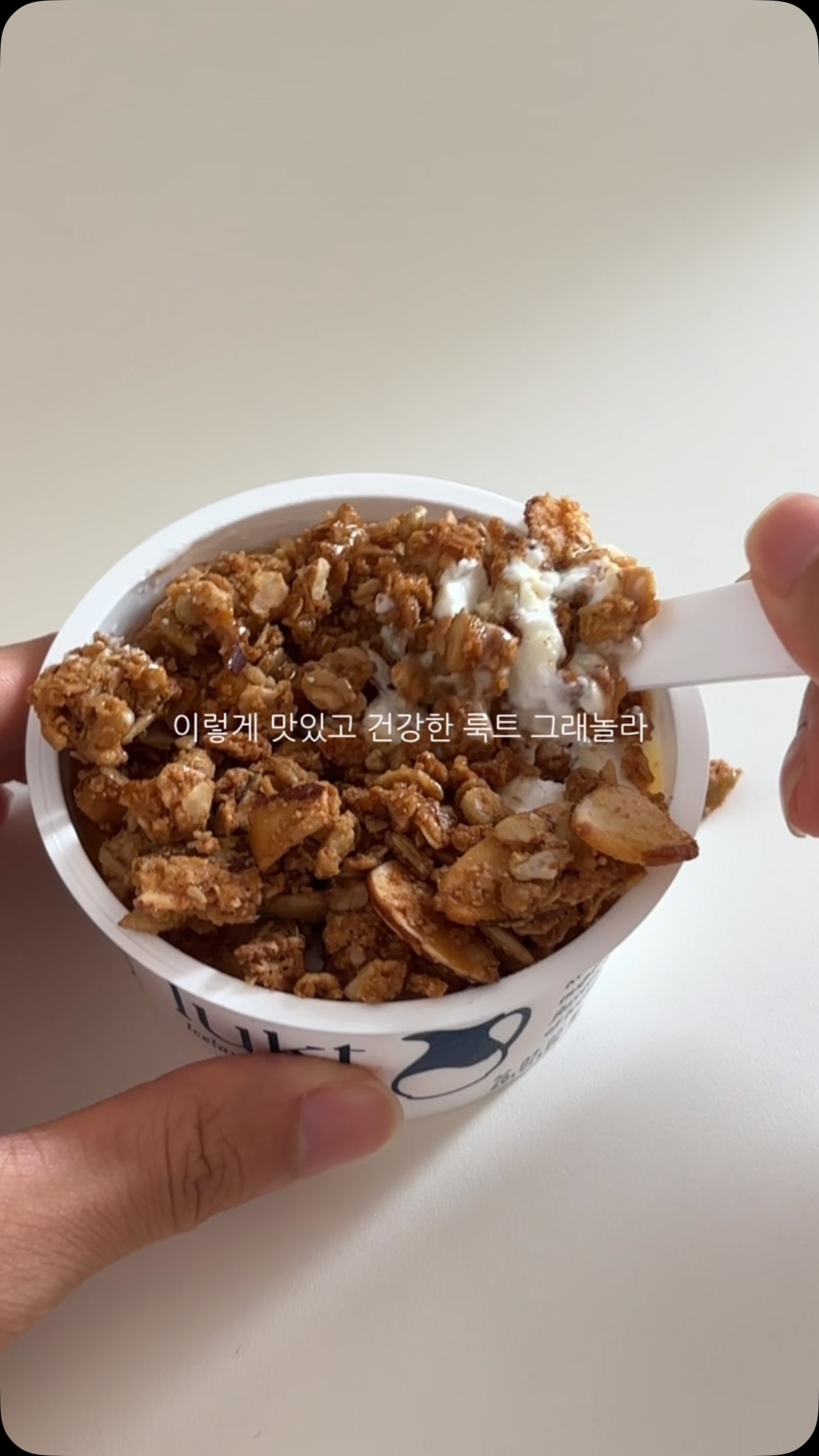 비룡북샵 큐레이션 도서세트