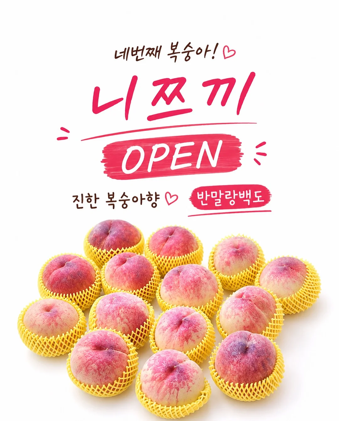다과도시락 1