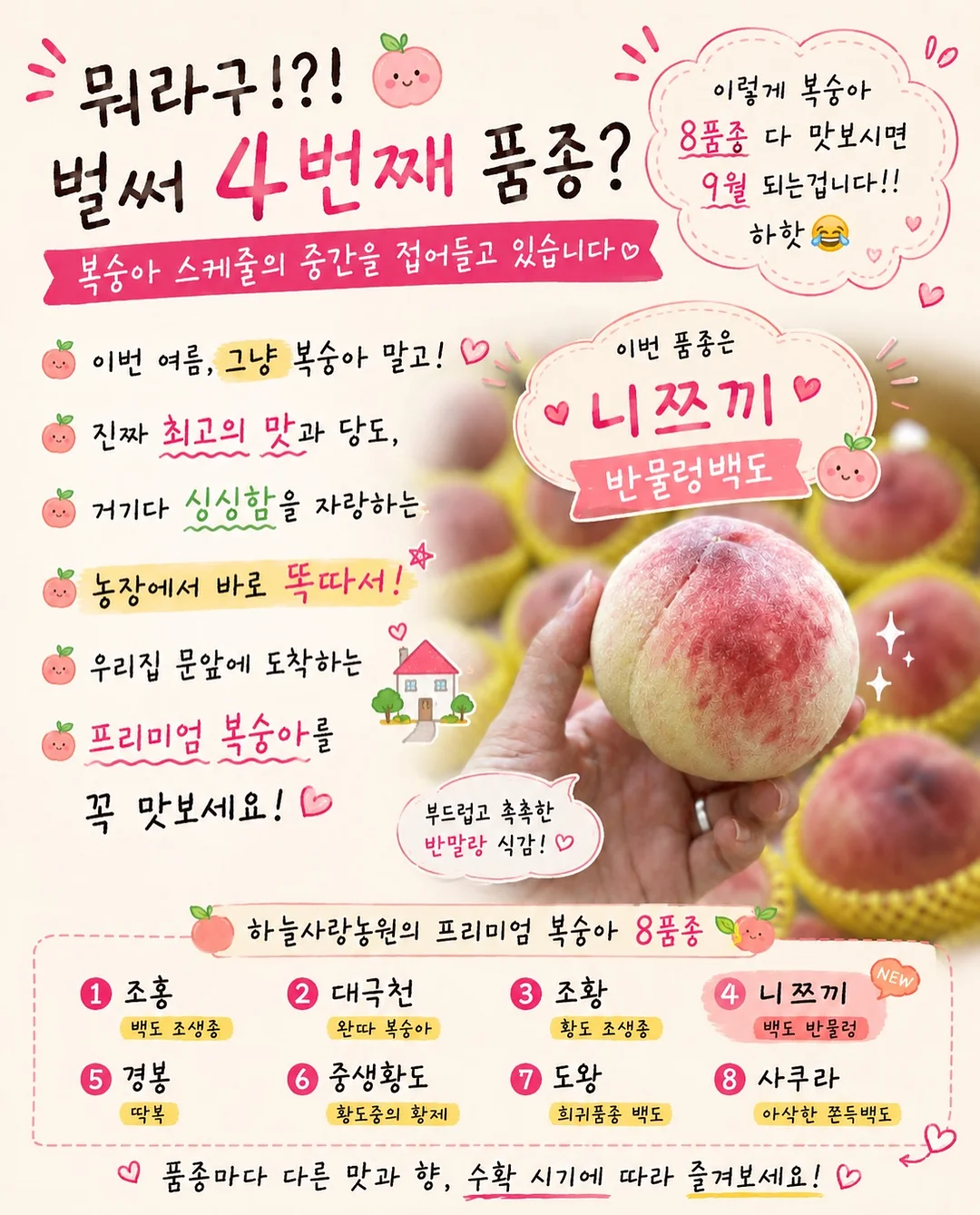 다과도시락 2