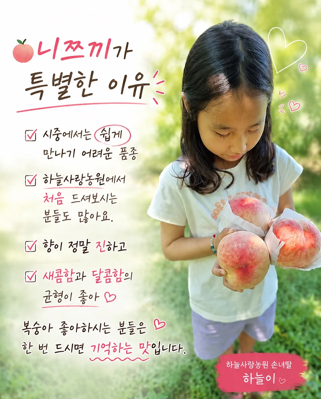 다과도시락 3