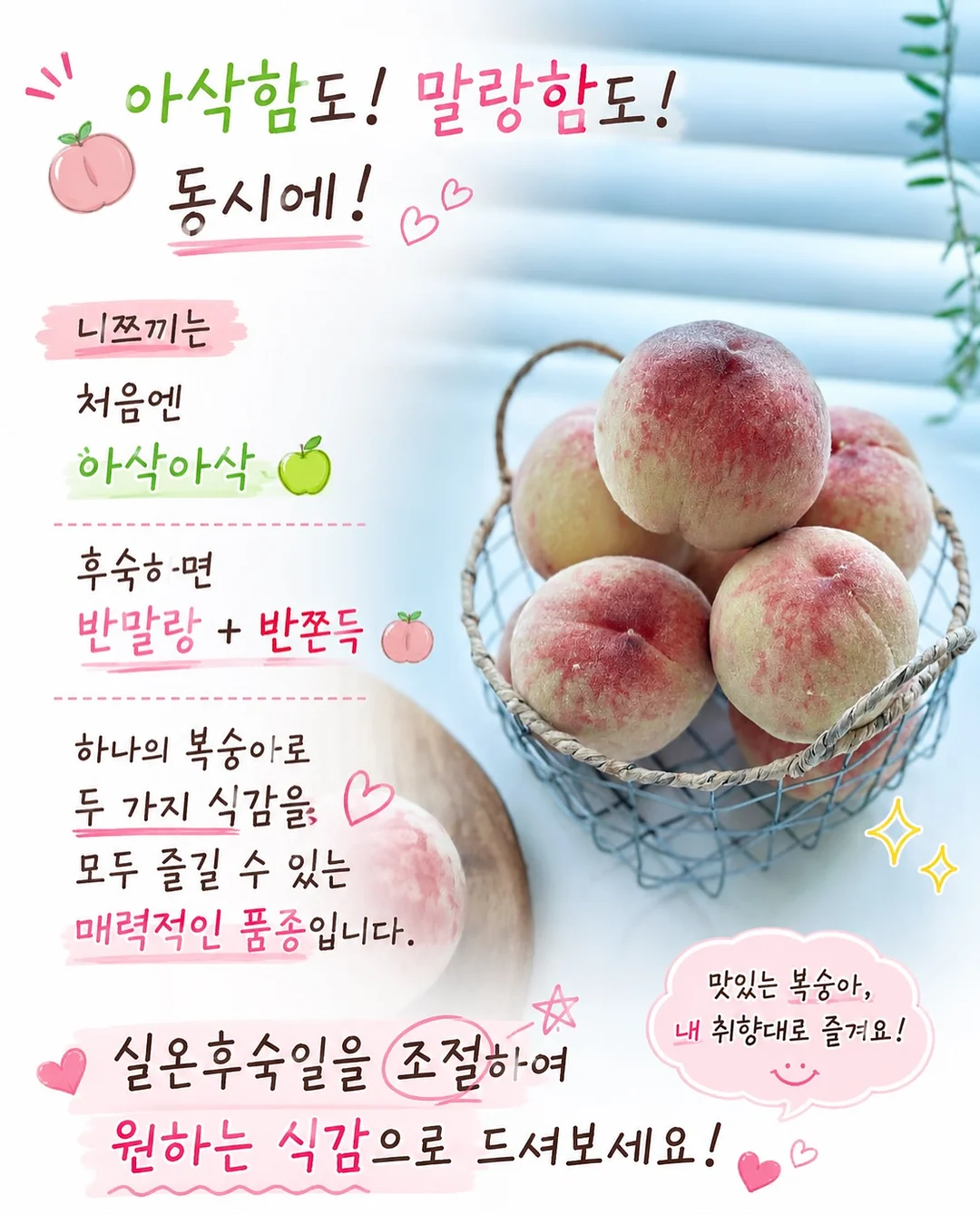 다과도시락 4