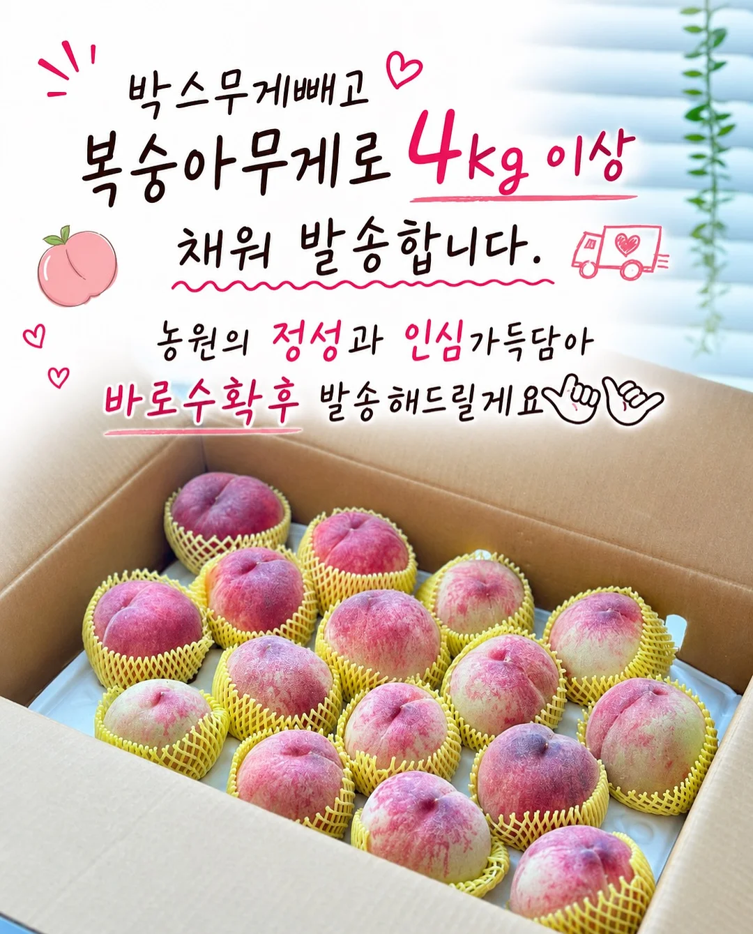 다과도시락 8