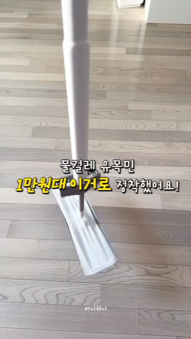 천연 위고비