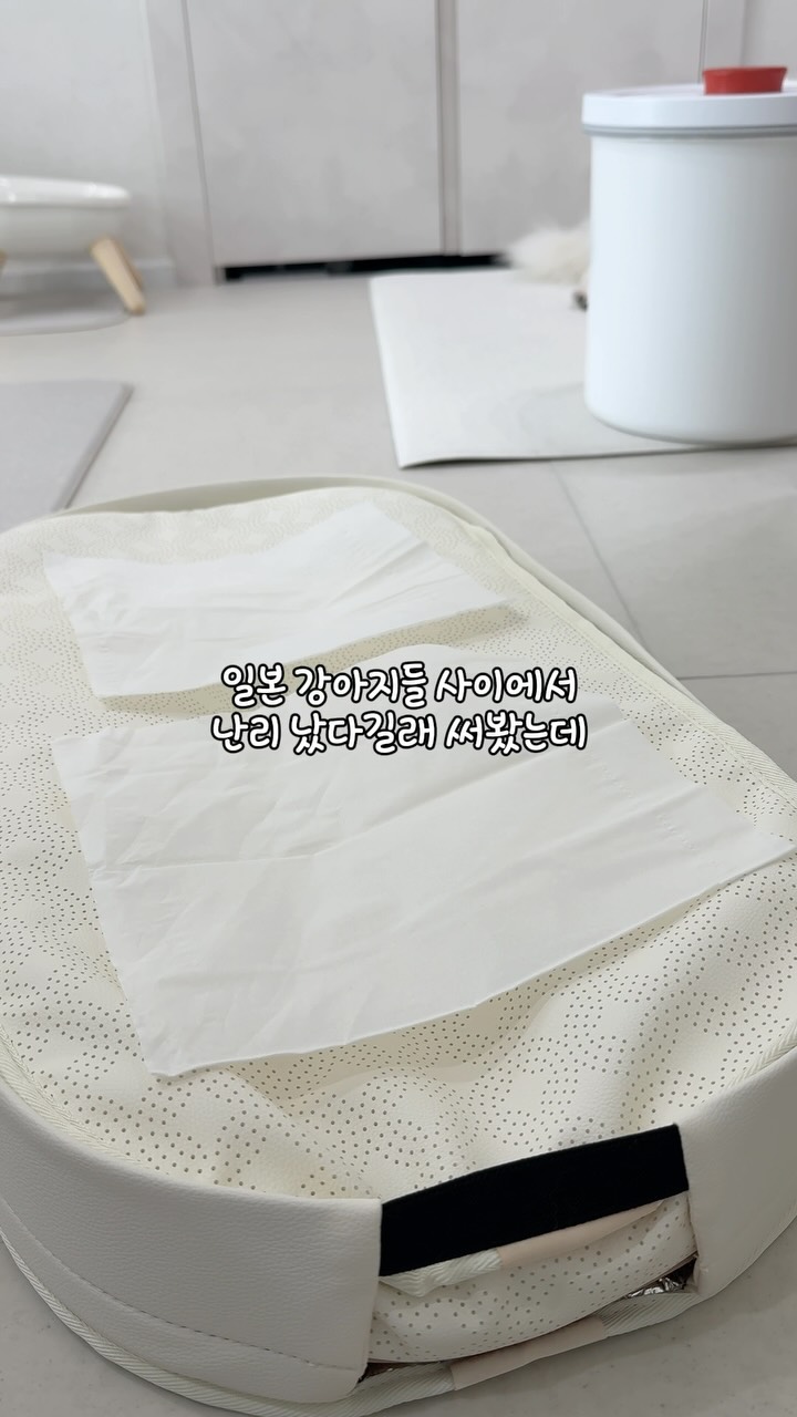아디다스 삼바제인