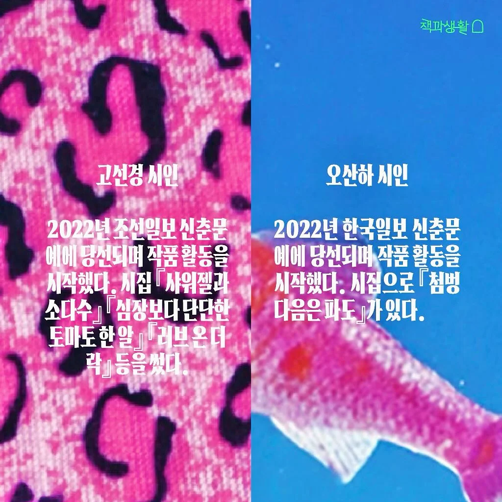민초쿠마 2
