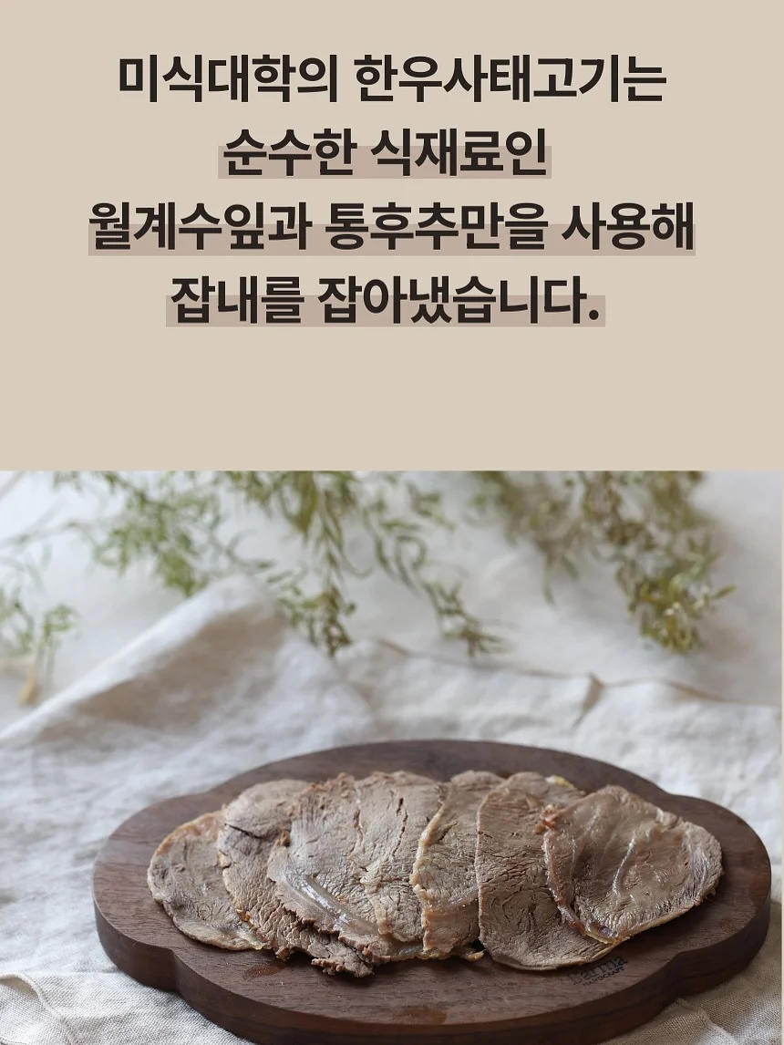 몽디에스 아토로션 10