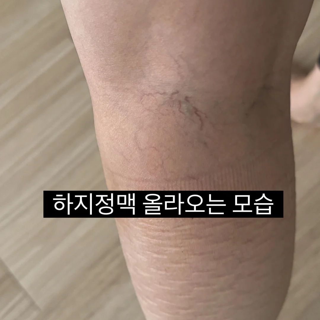 emis 리버시블 숄더백 3