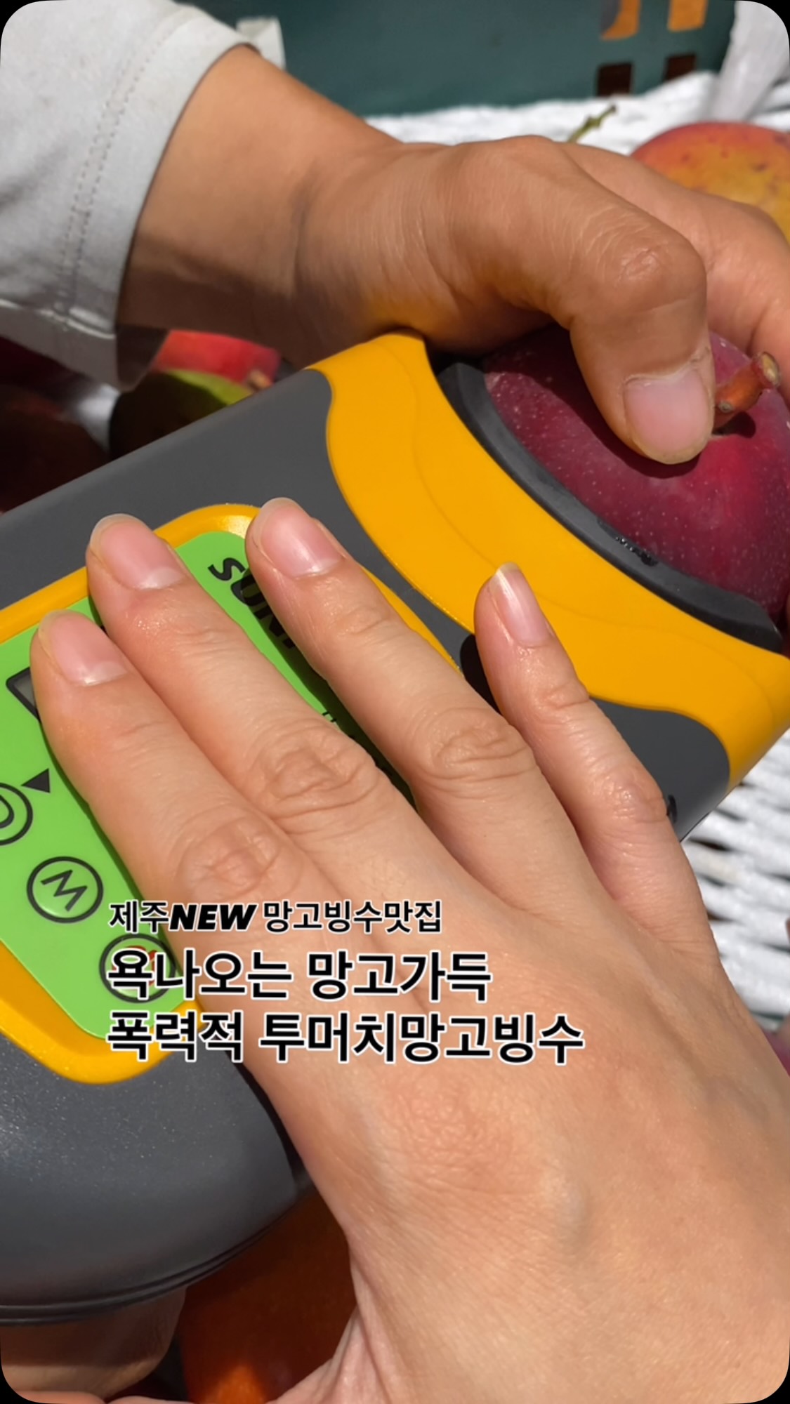 Amoo 국산 전면 책차트 S 캔버스