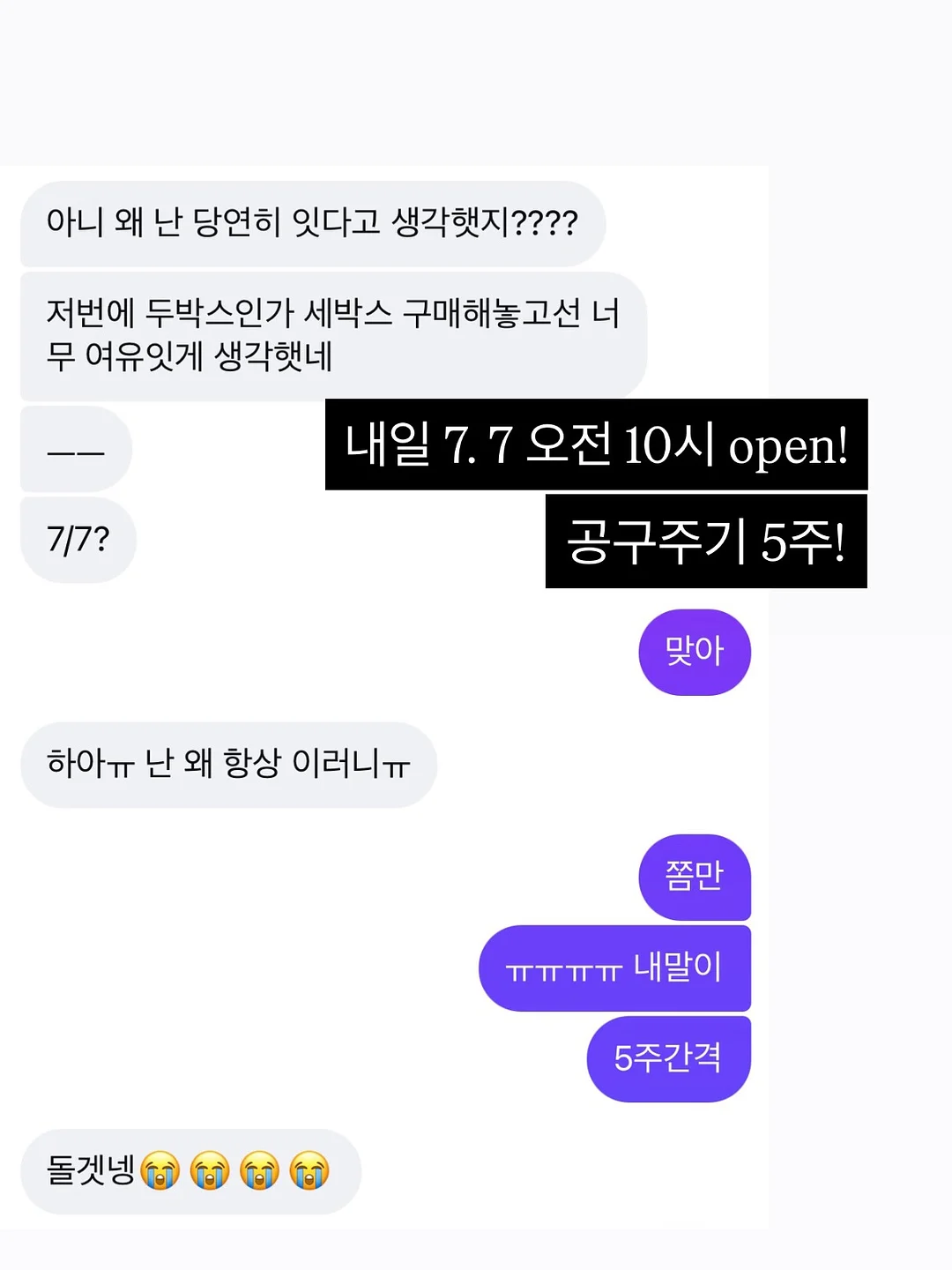 카필라노 마누카꿀 5
