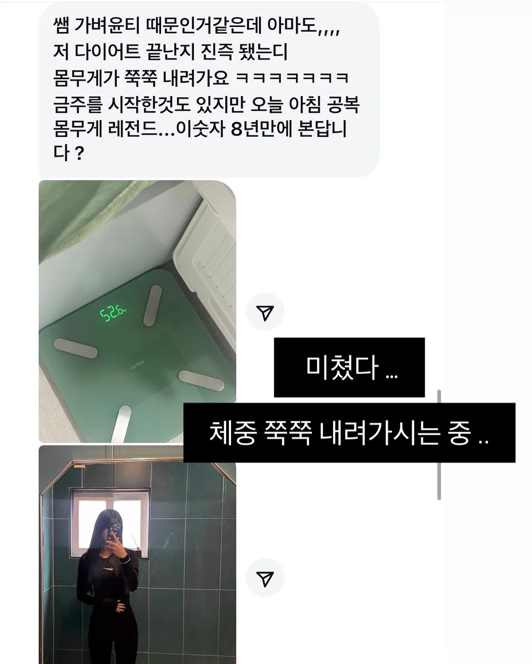 데이지크 폴리포켓 콜라보 11
