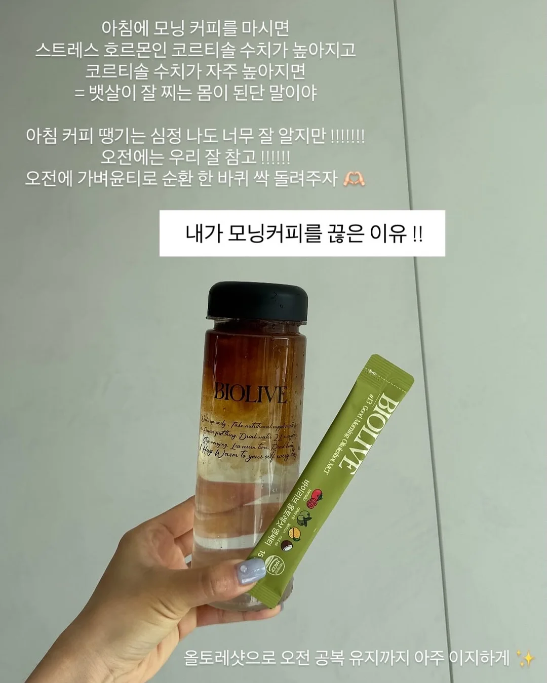 데이지크 폴리포켓 콜라보 19