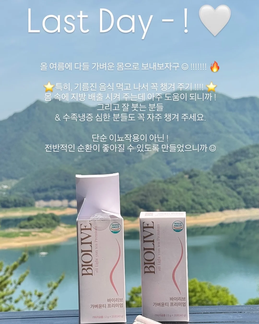 데이지크 폴리포켓 콜라보 20