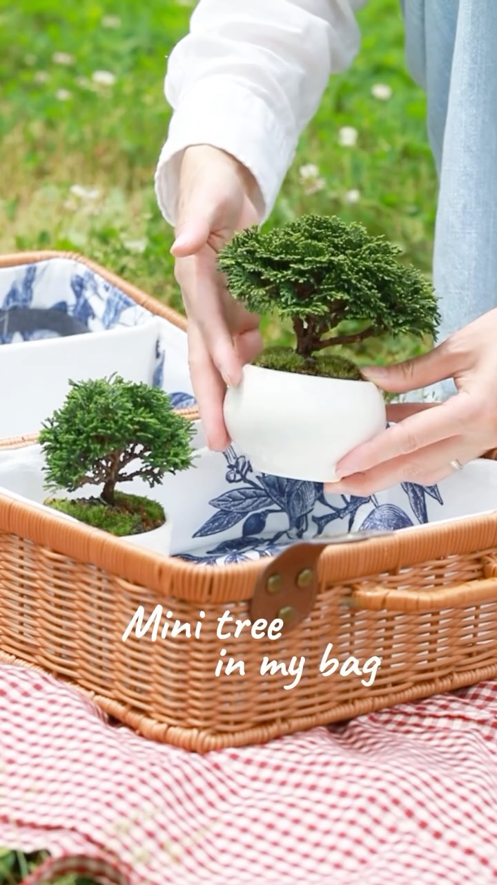 피부 결 정리 아이템