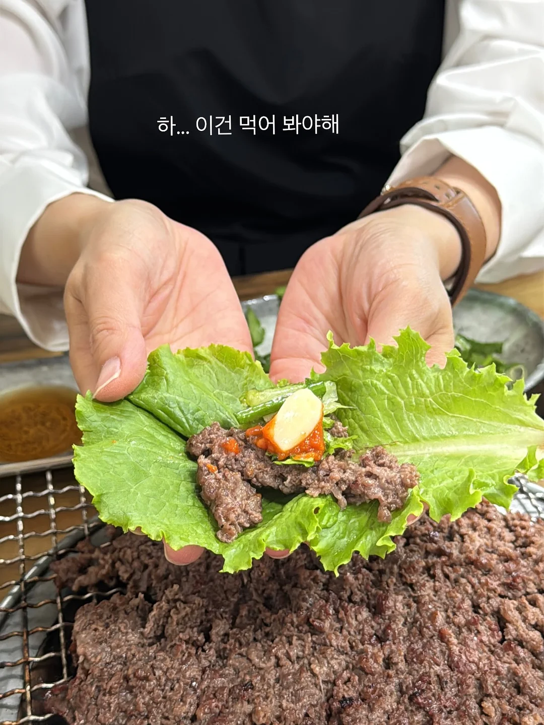 도마뱀 화과자 3