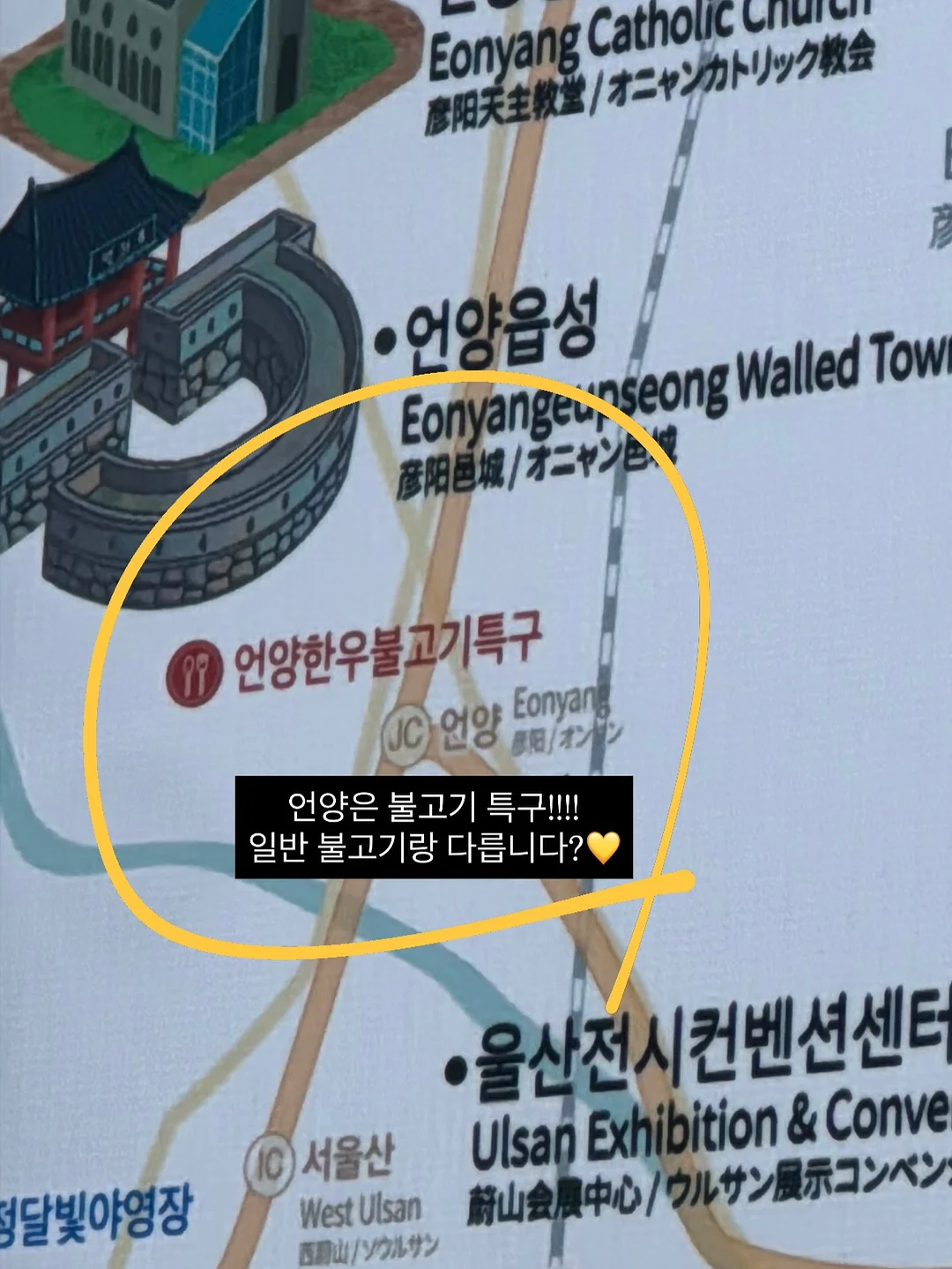 도마뱀 화과자 4