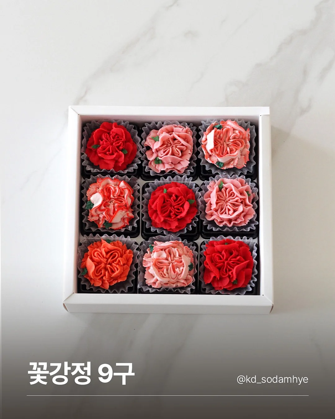 아르케 탄산 실린더 7