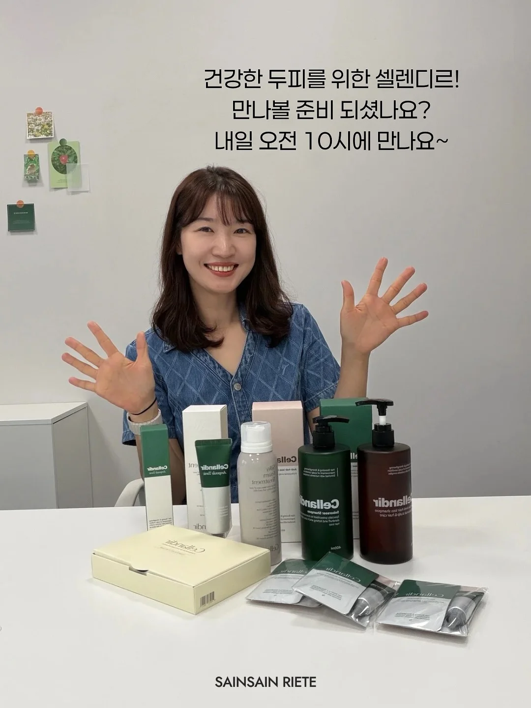 상추 11