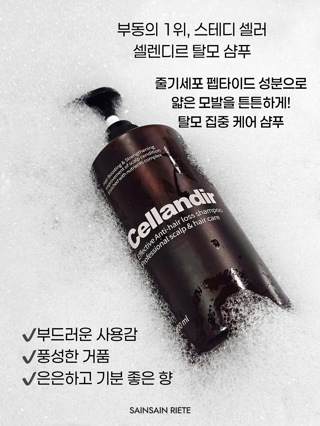 상추 4