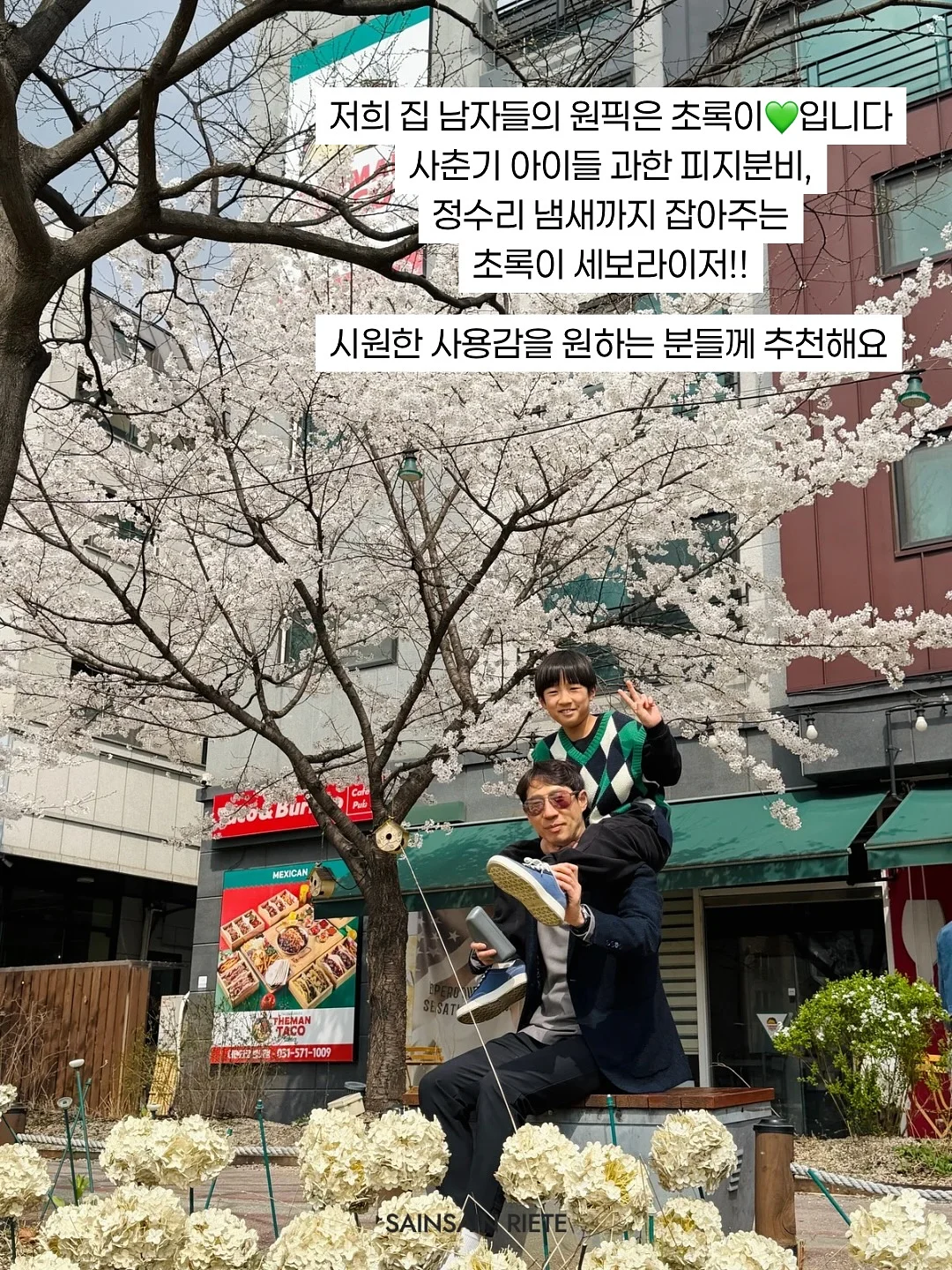 상추 5