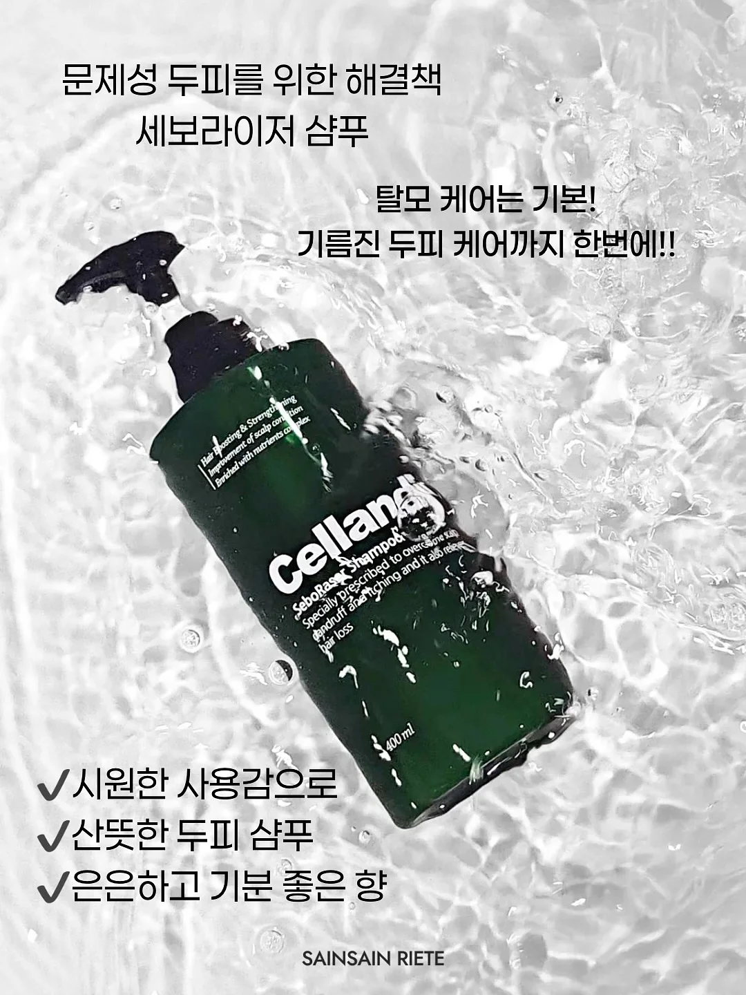 상추 6