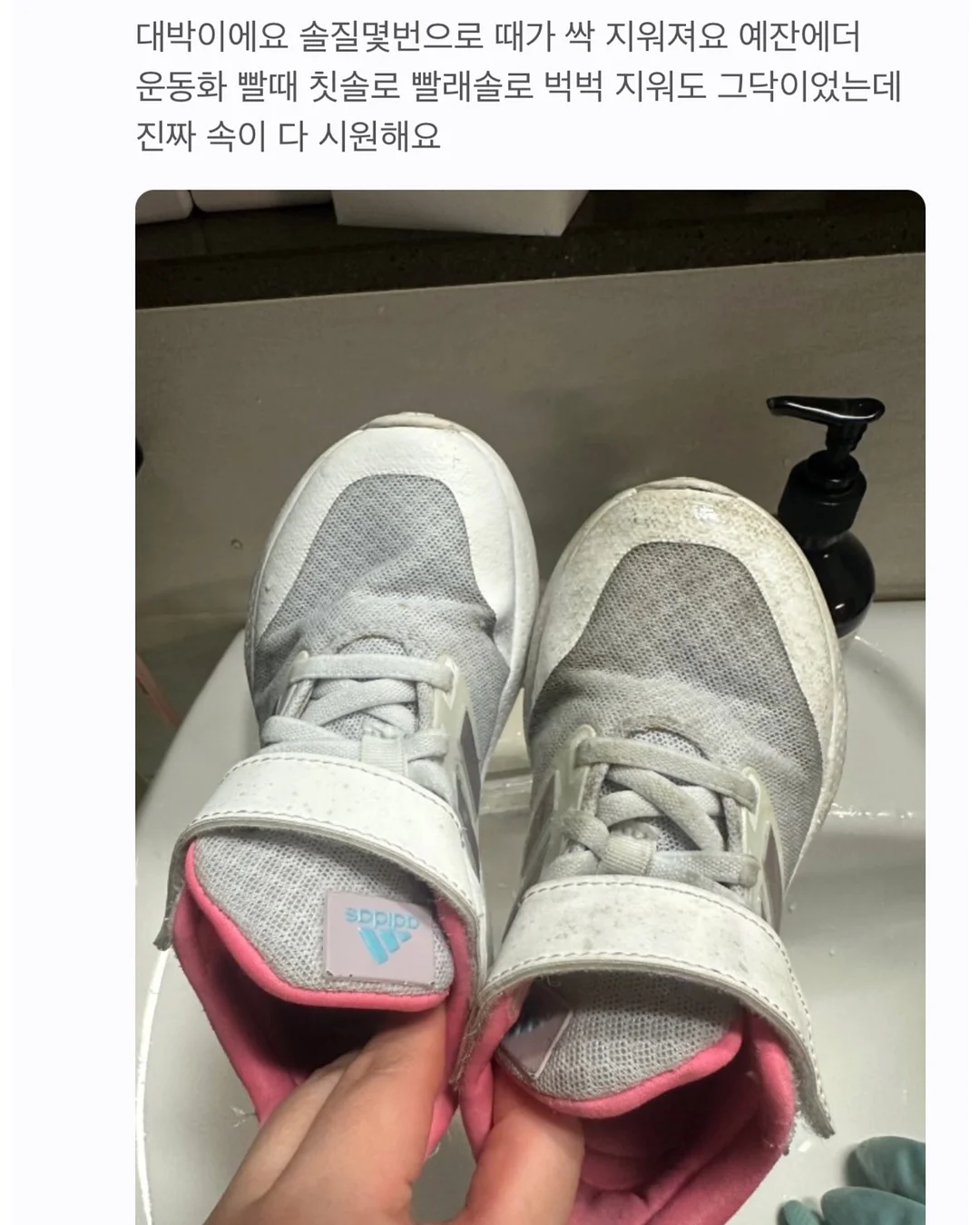 컷팅 수박 11