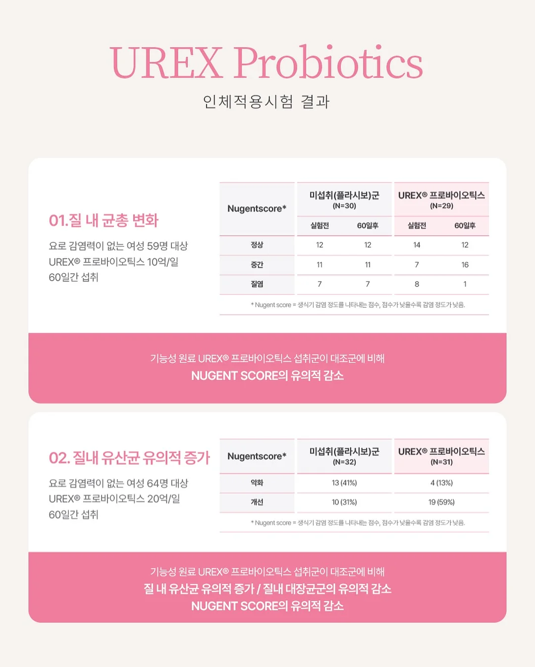 고야금 키트 11