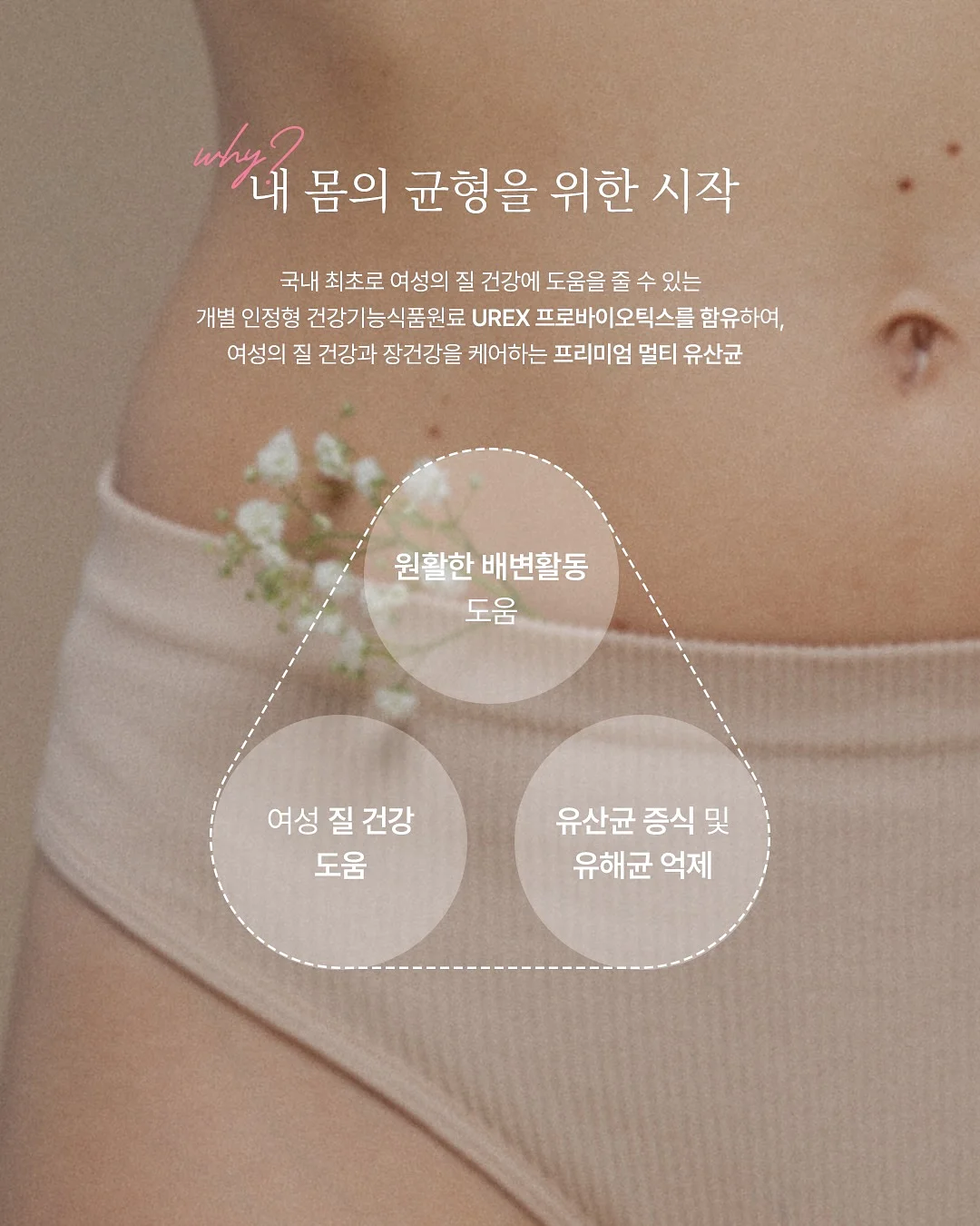 고야금 키트 12