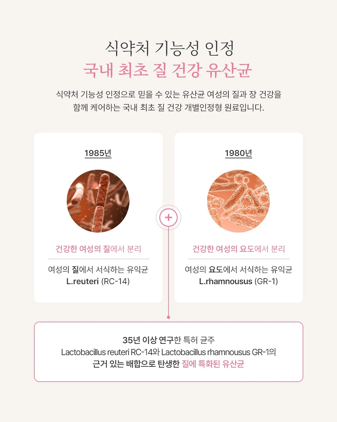 고야금 키트 8
