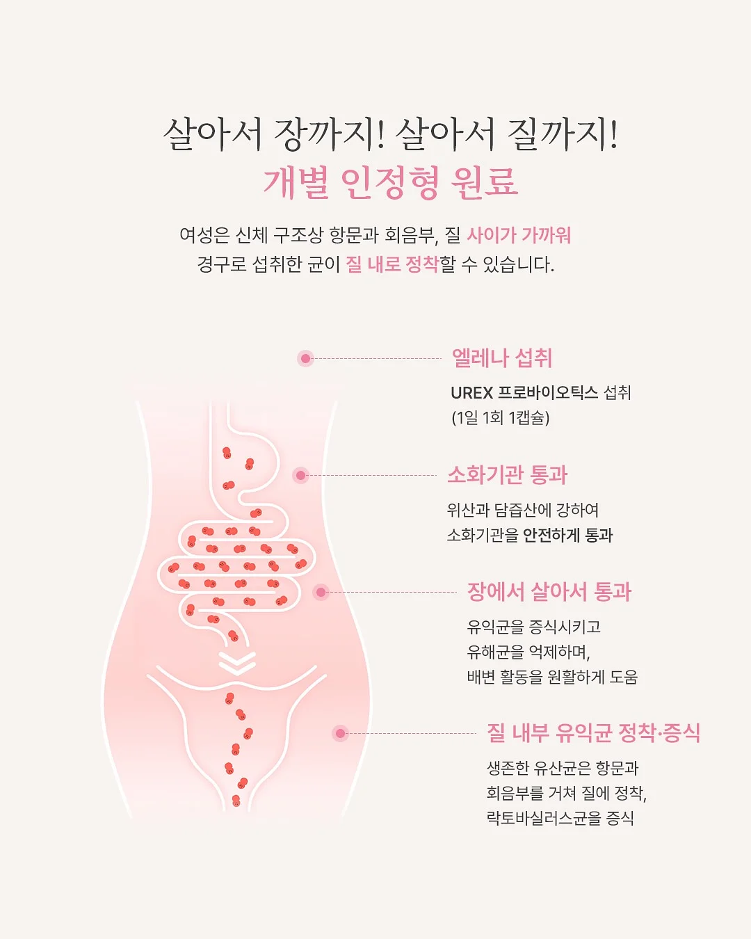고야금 키트 9