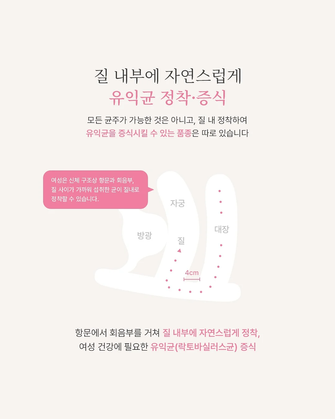 고야금 키트 10