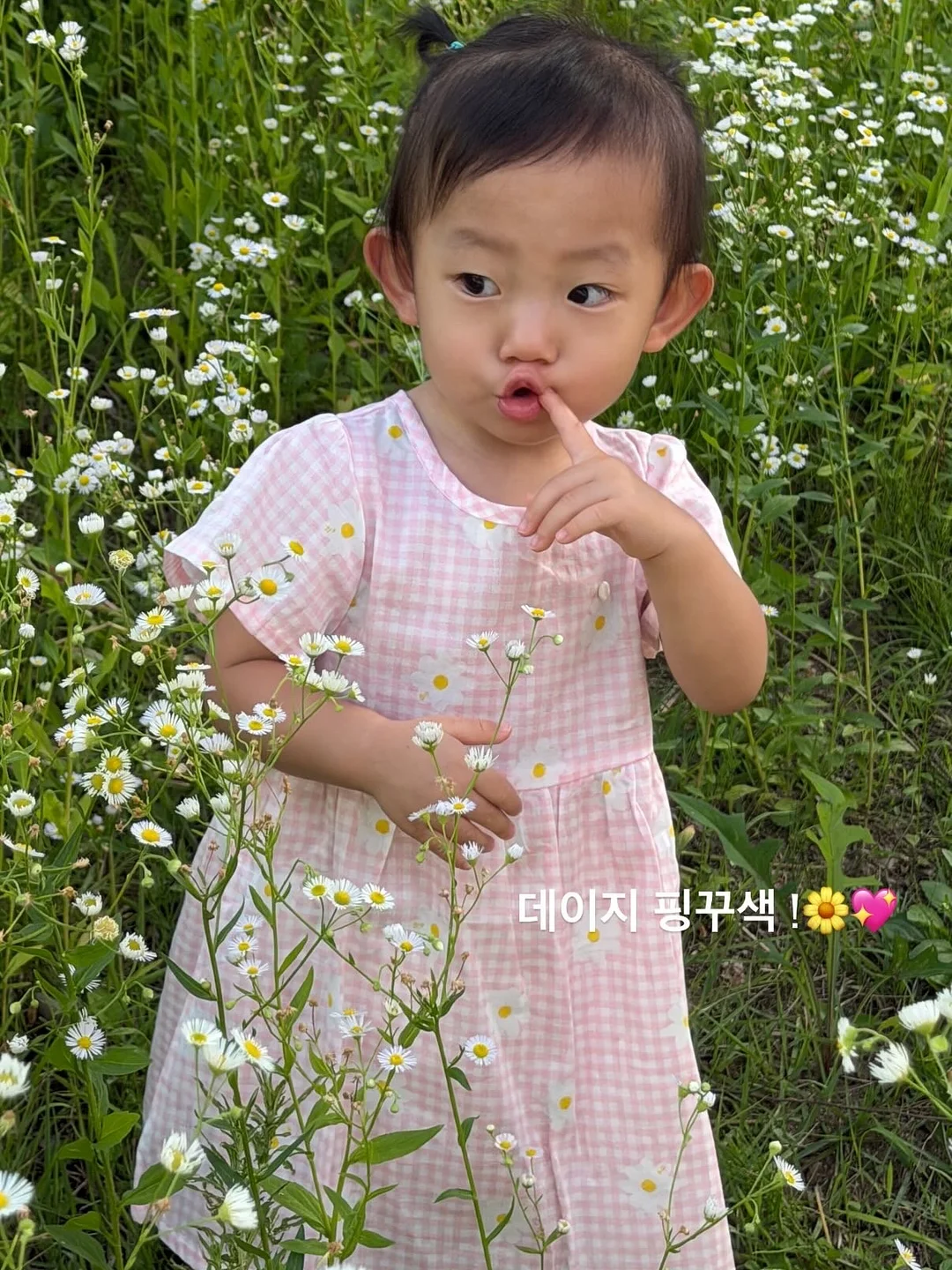 프리미엄 등급 국내산 벌꿀 12